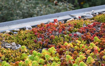 the cost of Lower Denby green roof installation
